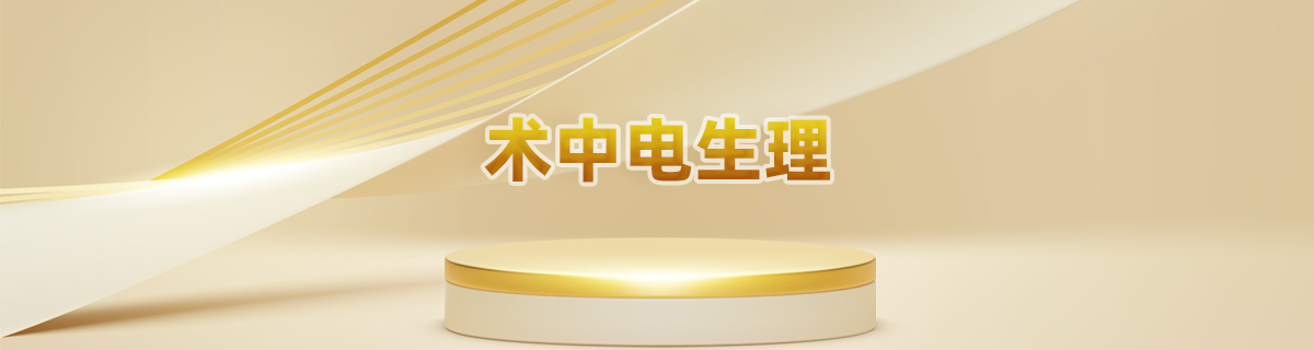 术中电生理