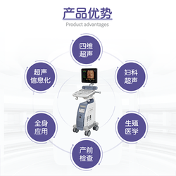 彩色超声诊断仪 VOLUSONP8