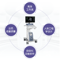 GE 彩色超声诊断仪 VOLUSONS8