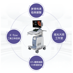 GE 彩色超声诊断仪 VOLUSONS10