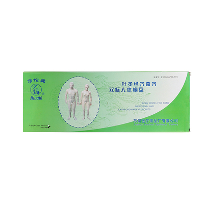 鱼跃 人体针灸模型 男  50cm