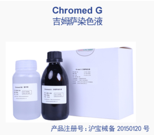 上海乐辰吉姆萨染色液 100mL/瓶