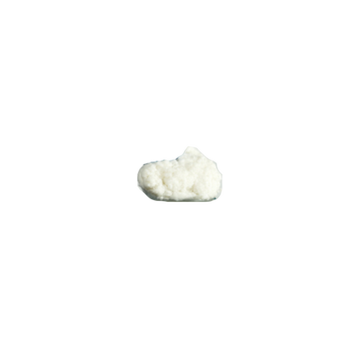 天津赛宁 胶原基骨修复材料 S3 粒状 4<粒度<6 2.5g 5cm3