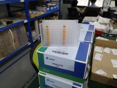 核酸提取试剂盒(磁珠法) RT-T-200:96人份/盒
