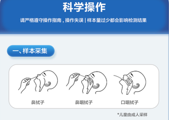 诺唯赞 新型冠状病毒(2019-nCoV) 抗原检测试剂盒(胶体金法) 20人份/盒