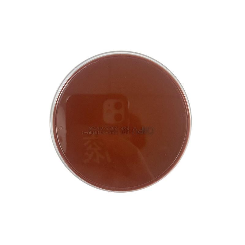 广州迪景巧克力琼脂培养基(不加抗生素) LS0509 9CM