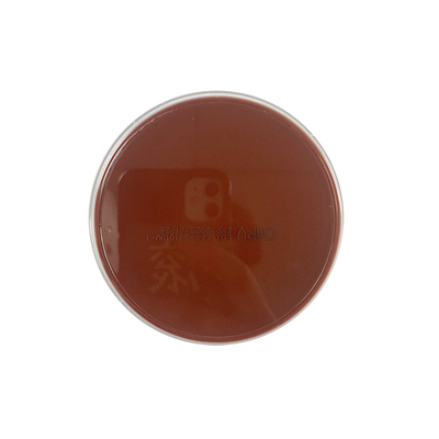 广州迪景 巧克力琼脂培养基(不加抗生素) LS0509 9CM