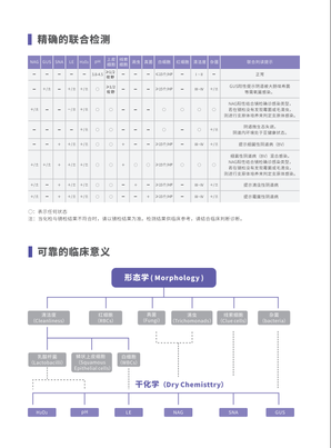 丽拓生物 阴道分泌物分析仪 LTS-V800