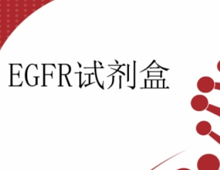 EGFR基因突变检测试剂盒(PCR-荧光探针法) 6人份/盒
