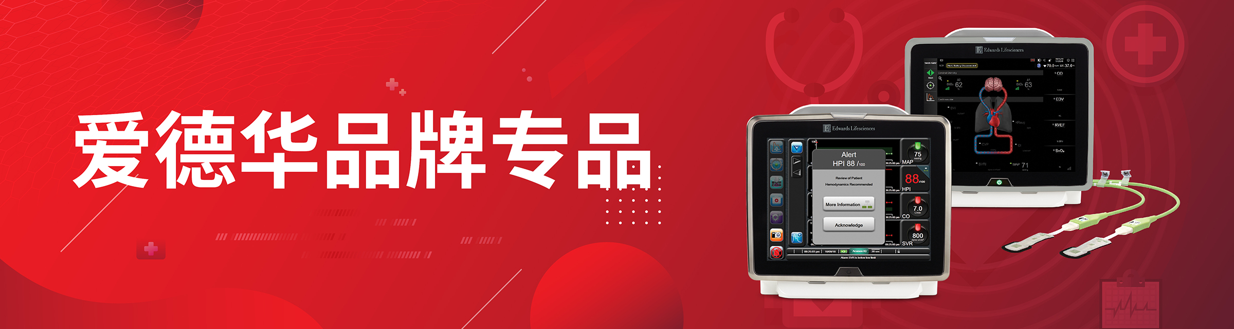 爱德华专区