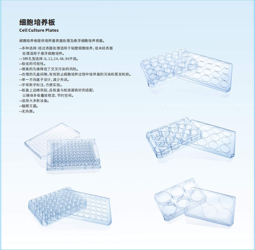 细胞培养皿 100mm培养皿