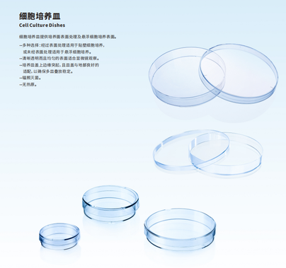 细胞培养皿 60mm培养皿