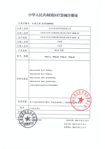 兰州汶河 雾化器(面罩) WHQ-2A (成人面罩)