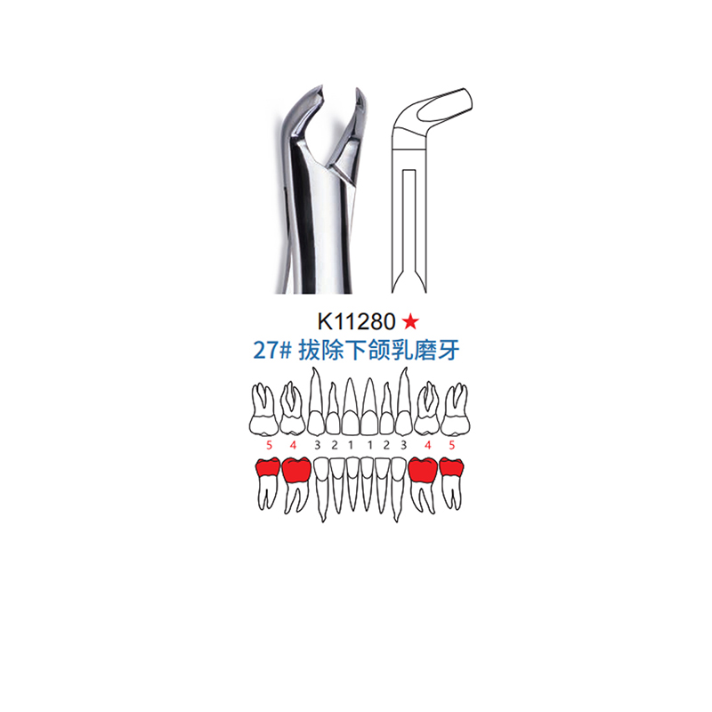 拔牙钳 儿童型 27#