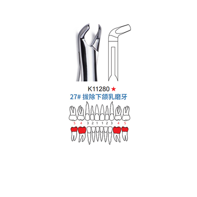 拔牙钳 儿童型 27#