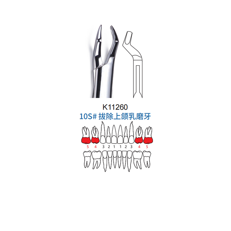 拔牙钳 儿童型 10S#