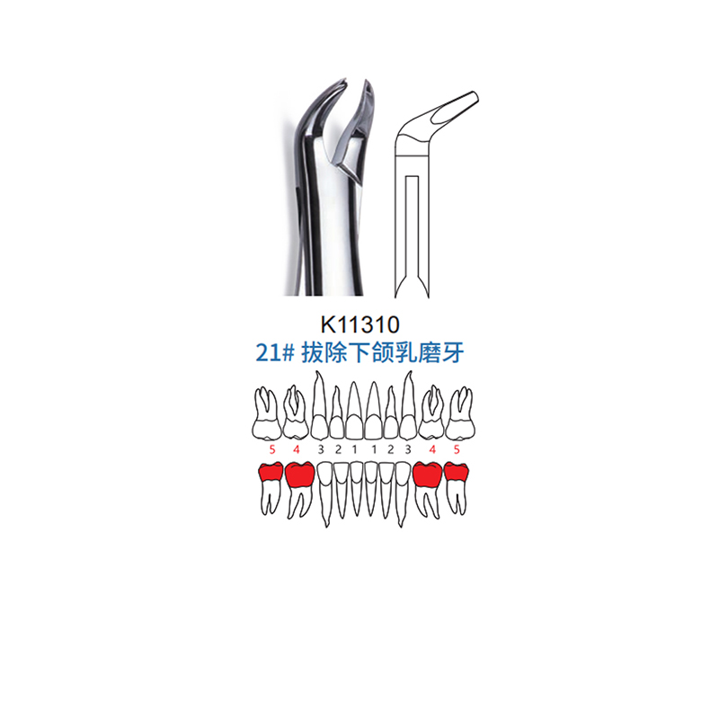 拔牙钳 儿童型 21#