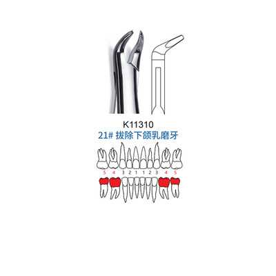 拔牙钳 儿童型 21#