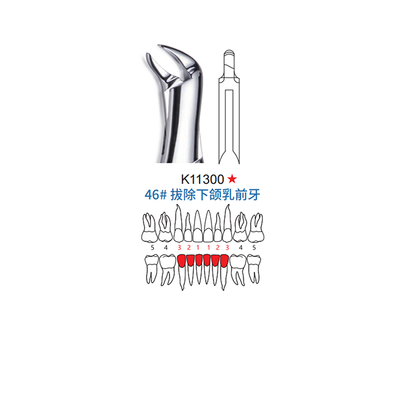 拔牙钳 儿童型 46#