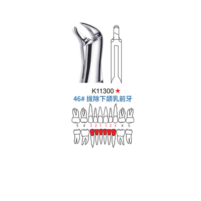 拔牙钳 儿童型 46#