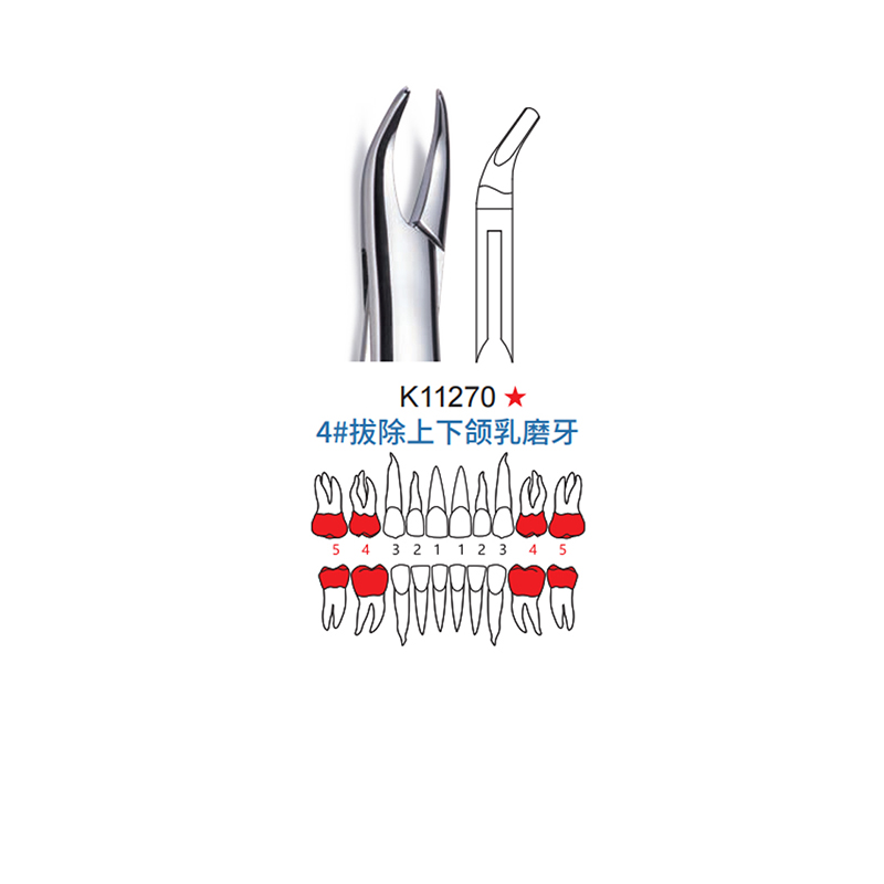 拔牙钳 儿童型 4#