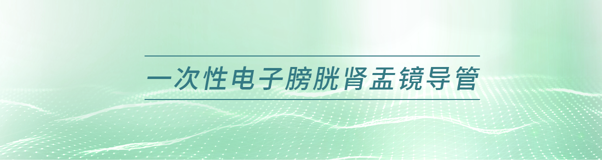一次性电子膀胱肾盂镜导管