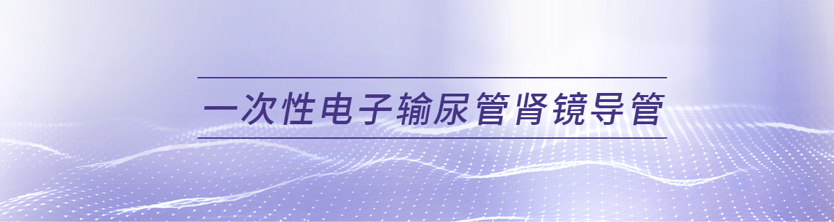 一次性电子输尿管肾镜导管