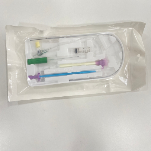 泰尔茂血管鞘组 RS*A10K10SQ