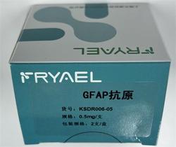 GFAP抗原 0.5mg/支