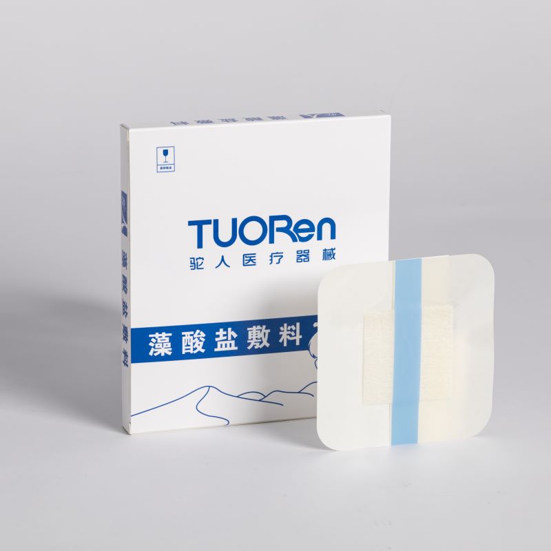 藻酸盐敷料 Ⅱ型 10cm×20cm