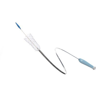 胆道支架 BP10080