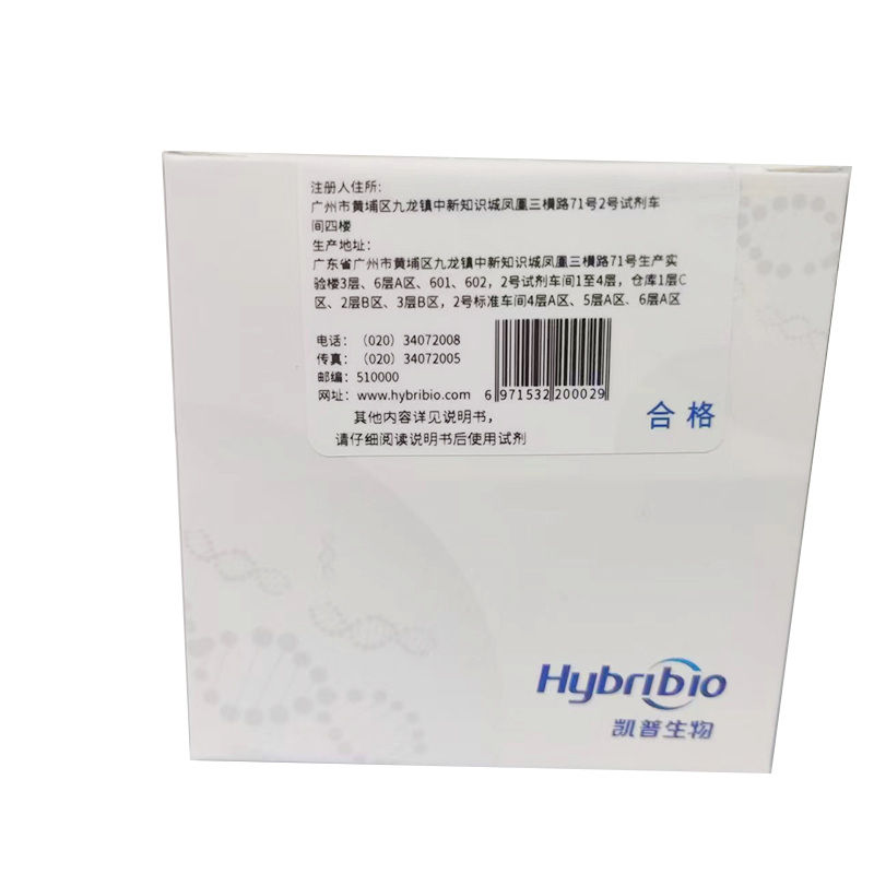 凯普生物乙型肝炎病毒核酸检测试剂盒(PCR-荧光探针法) 48人份/盒