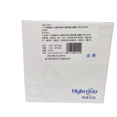凯普生物 乙型肝炎病毒核酸检测试剂盒(PCR-荧光探针法) 48人份/盒