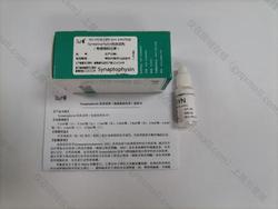 安必平 Synaptophysin 抗体试剂 (免疫组织化学) 3.0ml/瓶(B)