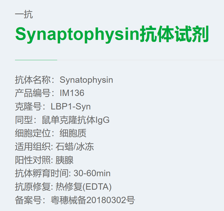 安必平 Synaptophysin 抗体试剂 (免疫组织化学) 3.0ml/瓶(B)