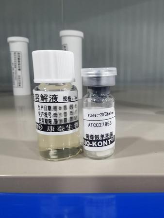 温州康泰 铜绿假单胞菌 ATCC27853