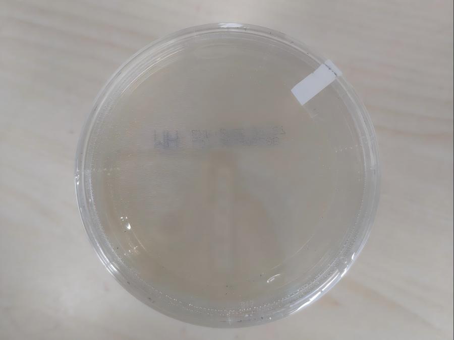 安图生物MH琼脂平板 90mm 10块/包