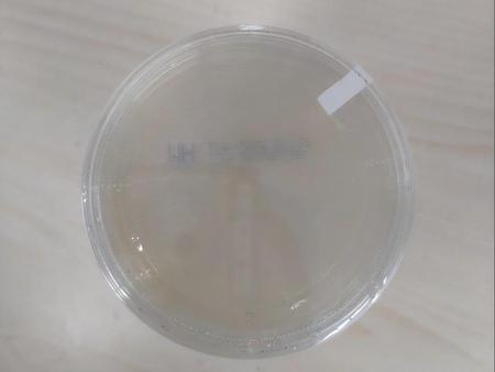 安图生物 MH琼脂平板 90mm 10块/包