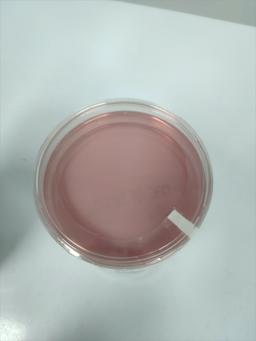 安图生物 麦康凯琼脂平板 90mm 10块/包