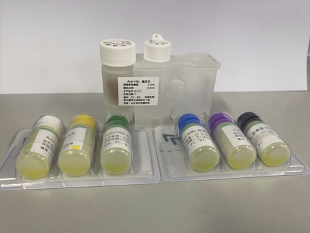安图生物 乙型肝炎病毒核心抗体检测试剂盒(磁微粒化学发光法) 100测试/盒