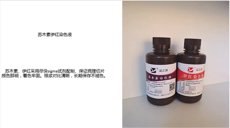 苏木素-伊红染色液(H-E) 500ml/瓶×2