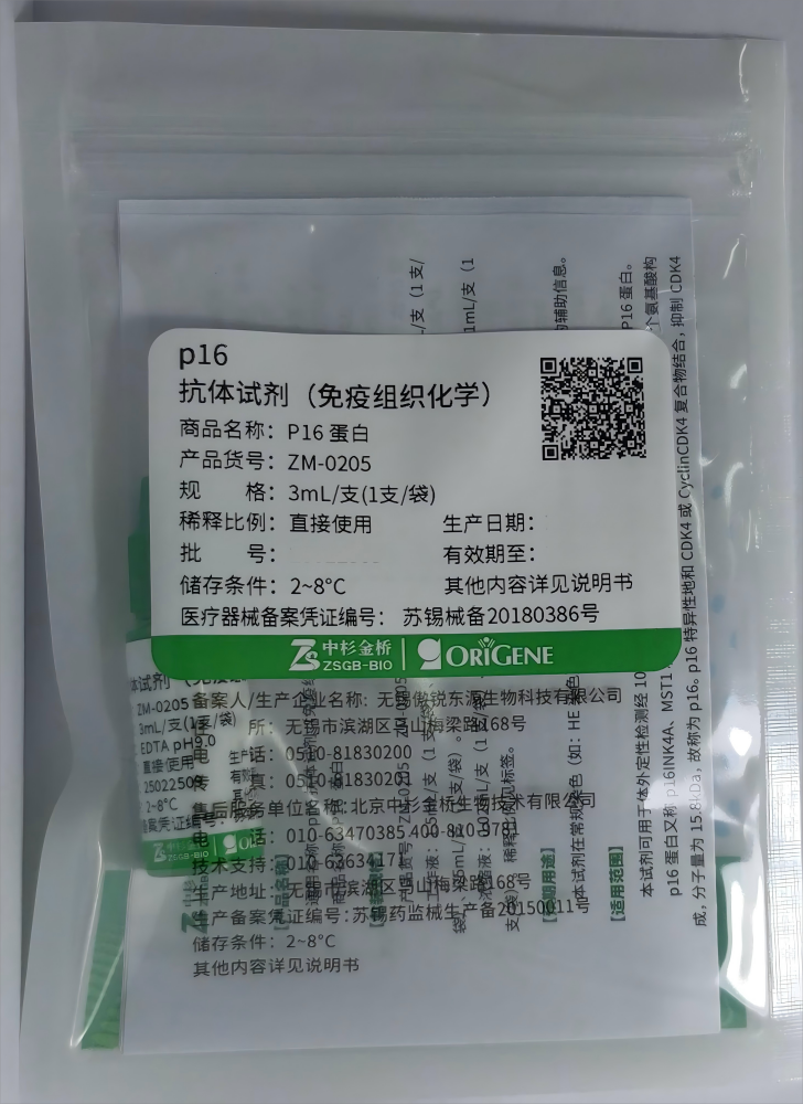 傲锐东源p16抗体试剂(免疫组织化学) 工作液:3mL/支(1支/袋)