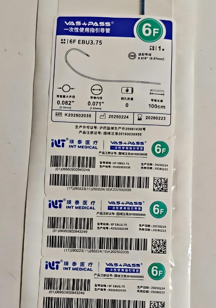 一次性使用指引导管 6F EBU3.75