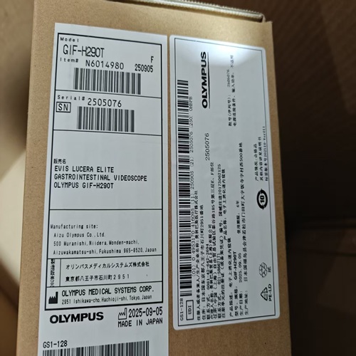 奥林巴斯电子上消化道内窥镜 GIF-H290T