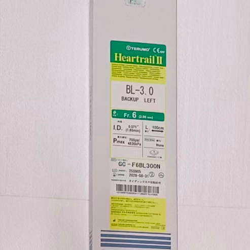导引导管 GC-F6BL300N