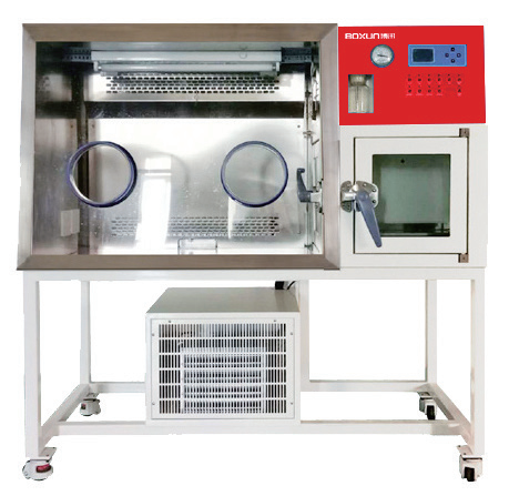 厌氧培养箱 BYQX-II