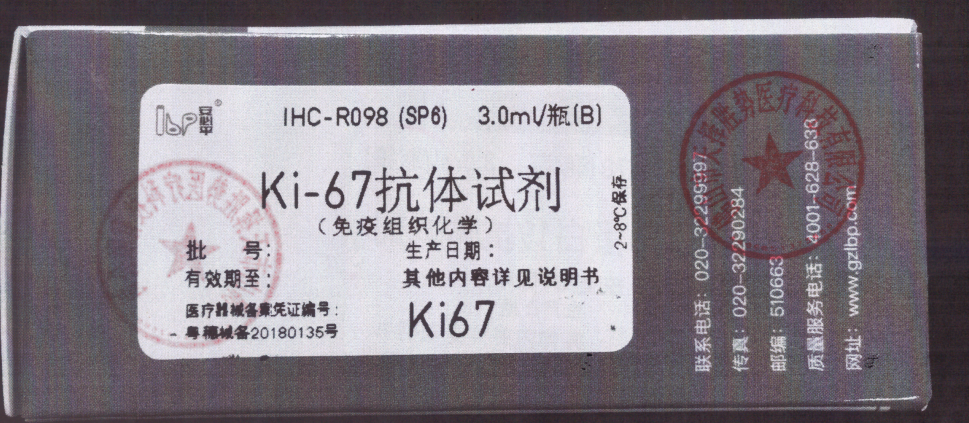 安必平Ki-67抗体试剂(免疫组织化学) 3.0ml/瓶(B)