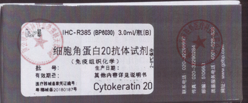 安必平细胞角蛋白20抗体试剂(免疫组织化学) 3.0ml/瓶(B)