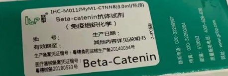 安必平 Beta-catenin 抗体试剂 (免疫组织化学) 3.0ml/瓶(B)
