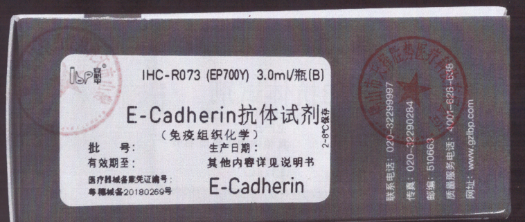 安必平E-Cadherin抗体试剂(免疫组织化学) 3.0ml/瓶(B)